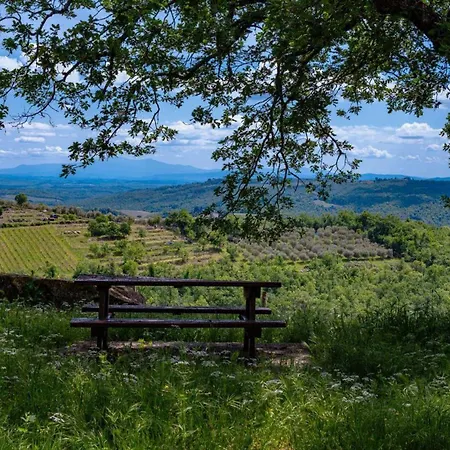Lavanda Apartment Gaiole in Chianti