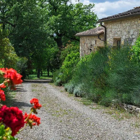 Lavanda Gaiole in Chianti